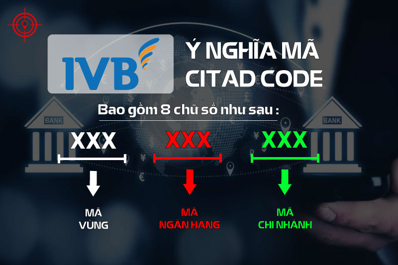 cau-tao-ma-citad-indovina